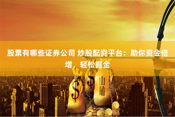 股票有哪些证券公司 炒股配资平台：助你资金倍增，轻松掘金