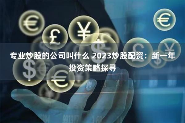 专业炒股的公司叫什么 2023炒股配资:新一年投资策略探寻